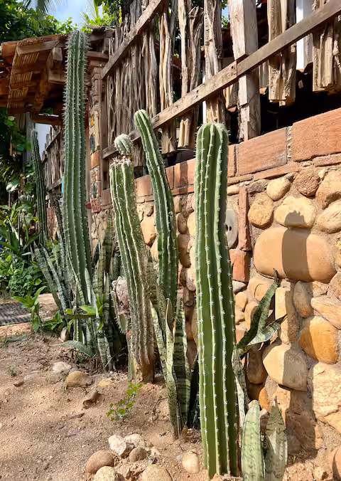 Cosy Studio-Apartment 4 walking minutes from La Punta beach